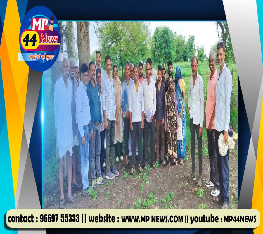 https://mp44news.com/noimg.jpg
