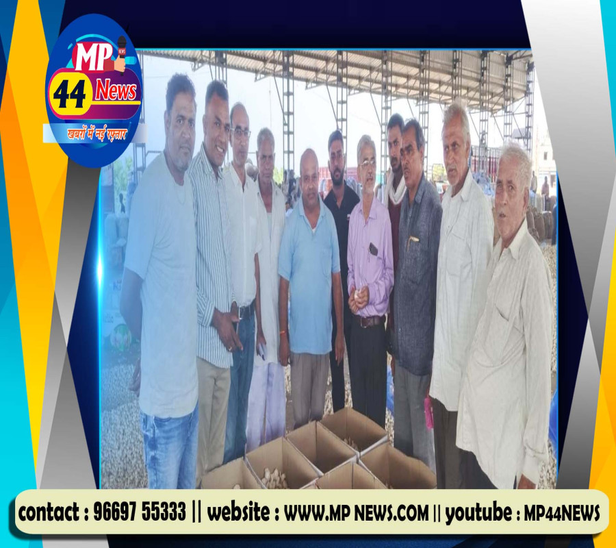 https://mp44news.com/noimg.jpg