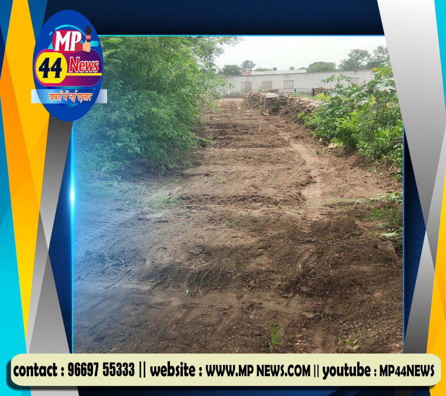https://mp44news.com/noimg.jpg