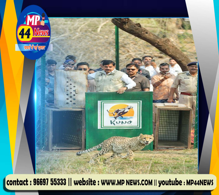 https://mp44news.com/noimg.jpg