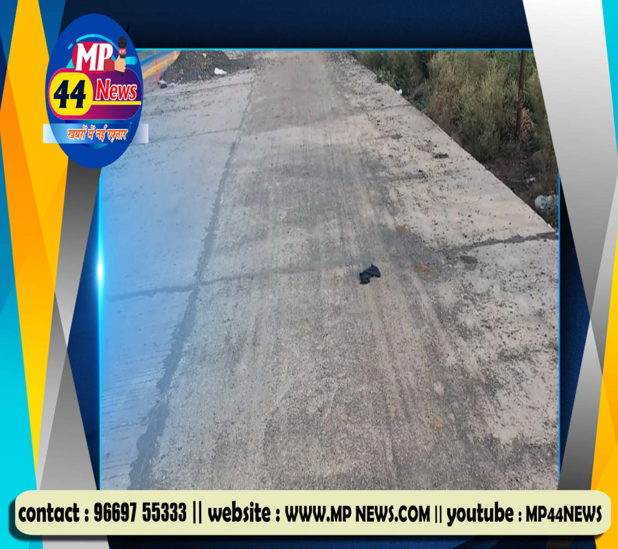 https://mp44news.com/noimg.jpg