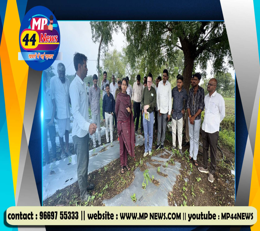 https://mp44news.com/noimg.jpg