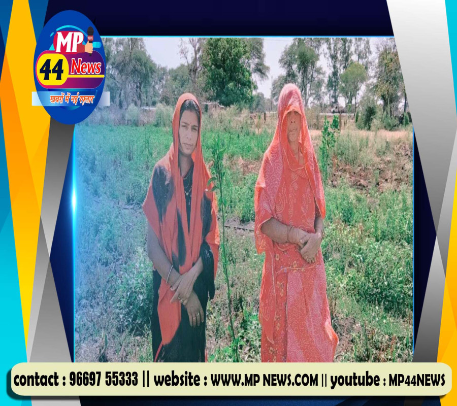 https://mp44news.com/noimg.jpg