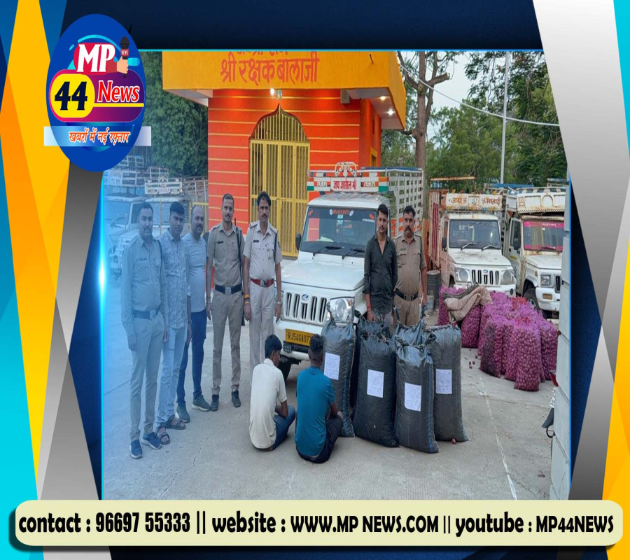 https://mp44news.com/noimg.jpg