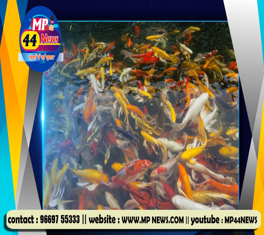 https://mp44news.com/noimg.jpg