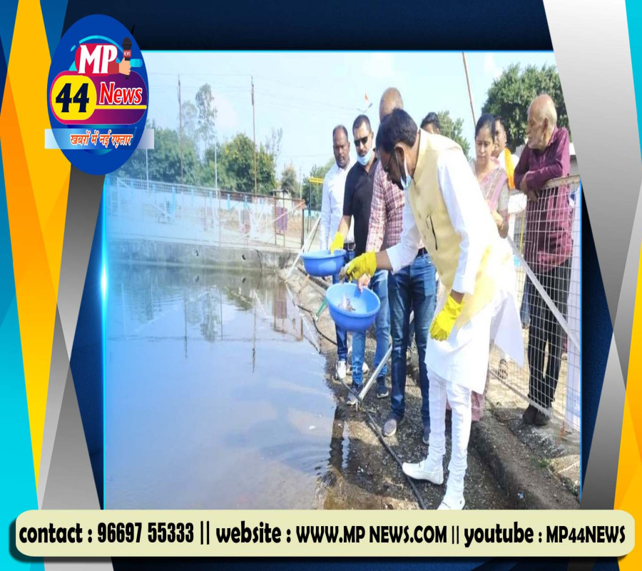 https://mp44news.com/noimg.jpg