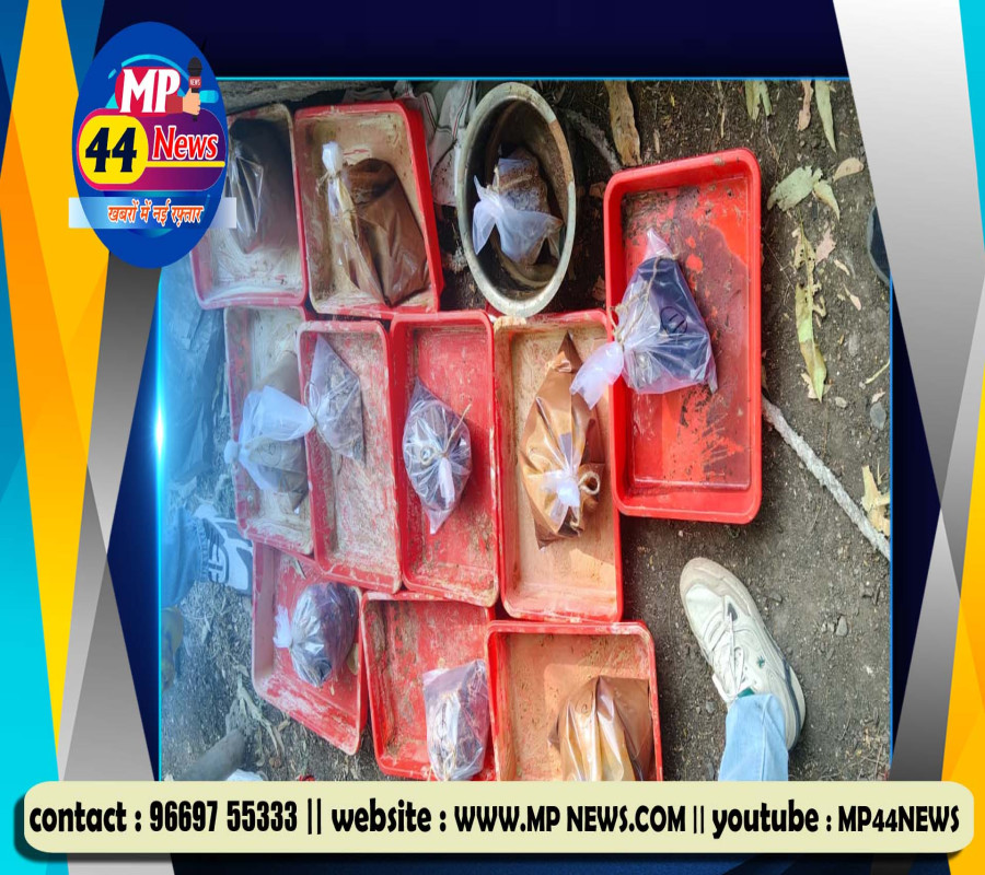 https://mp44news.com/noimg.jpg